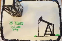 Oil-field-cake