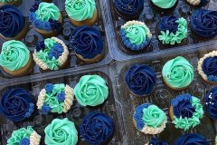 Cupcake-4-doz-drk-blue-mint-green-n-cream